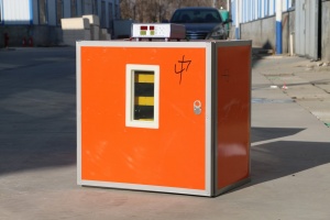 Incubadora Automática Profesional 240 Huevos - Incubadora Automática - Faisán de cuello anillado