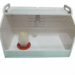 Criadora de Pollitos Grande - Criador - Pollo