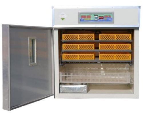 incubadora-528-huevos-4-300x300-1-2.jpg